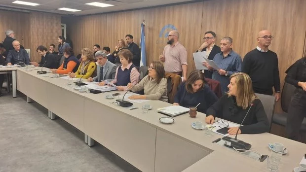 Comisión de Acción Social y Salud Pública de la Cámara de Diputados.