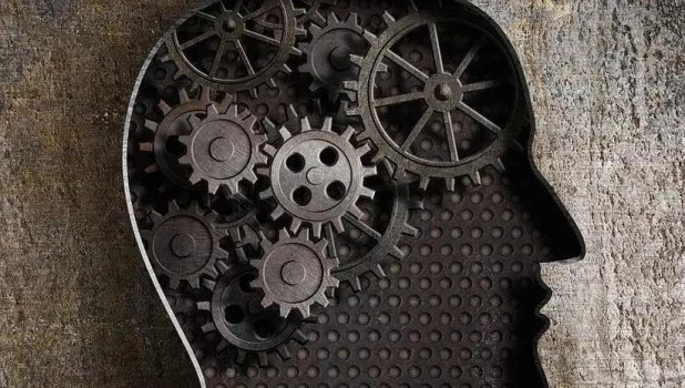 Frenar para avanzar: el secreto de una creatividad sostenible inspirada en la naturaleza