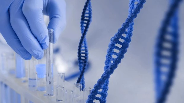 SYNGAP1, una enfermedad rara que es necesario conocer y diagnosticar 