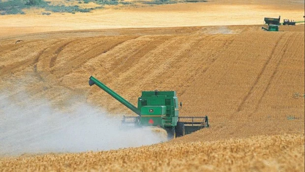 Proponen medidas para reducir trabas y mejorar la competitividad agroindustrial