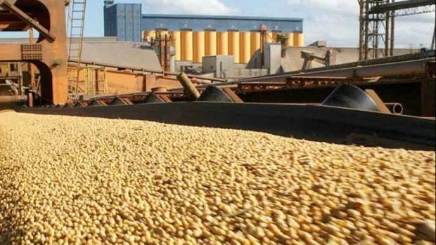 Argentina exportará harina de soja a China por primera vez