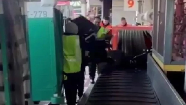 Despidieron a dos empleados de Intercargo que revoleaban las valijas