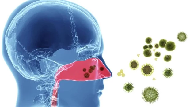 Alergias: cómo reconocerlas, prevenirlas y actuar ante una crisis grave