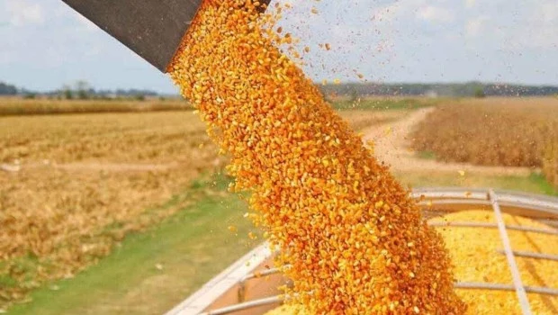 Baja de retenciones: crece el malestar del campo tras la marcha atrás del Gobierno