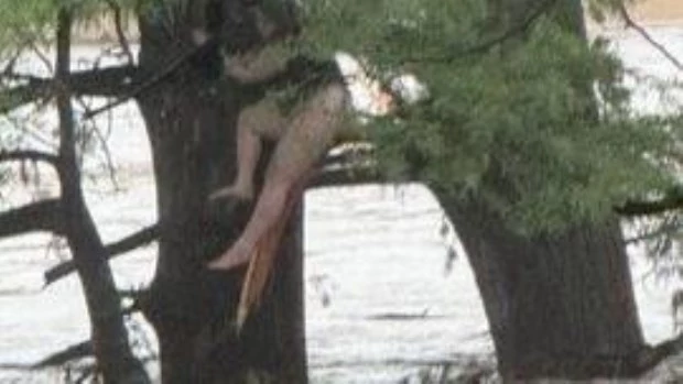 Asciende a 89 la cifra de muertos por las inundaciones en Texas