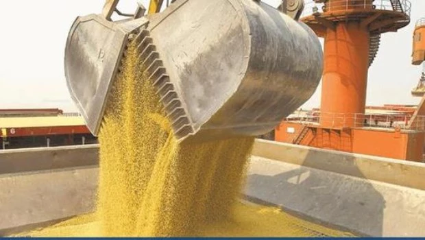 La harina de soja argentina enfrenta su precio más bajo en 15 años