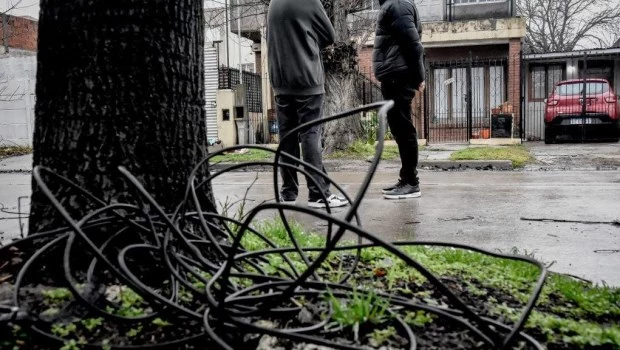 Alarma en Mar del Plata: encontraron otro cable sobre árboles luego de que un motociclista muriera degollado