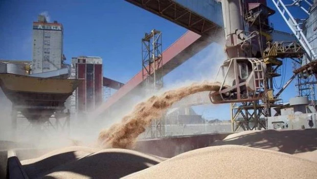 Sector agropecuario.