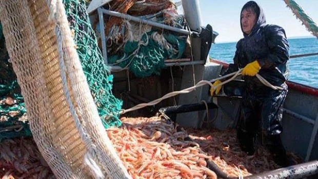 Pedido de eliminación de las retenciones a la pesca