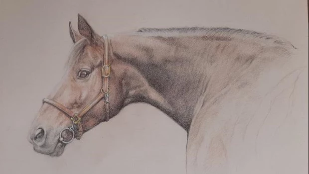 La pasión de Inés Menéndez Behety