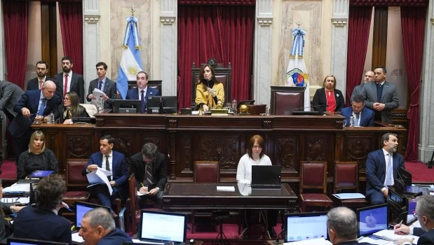 El Senado convirtió en ley el proyecto que declara la emergencia en pediatría