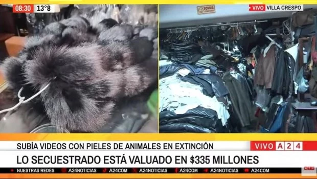 Incautaron más de 120 prendas fabricadas con piel de animales en extinción en un local de Villa Crespo