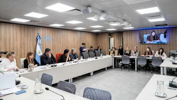 Opacidad en la elección del Defensor del NNyA