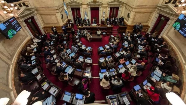 Rechazo definitivo al veto de la ley de emergencia en discapacidad