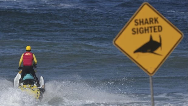Un tiburón mató a un bañista cerca de Sydney