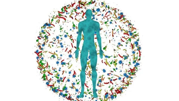 El rol del microbioma en la salud humana, animal, vegetal y ambiental