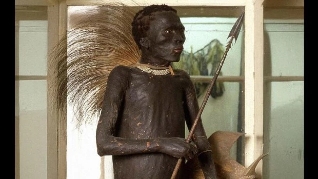 Cadáveres en exposición