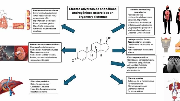 Advierten sobre los riesgos para el corazón de los suplementos deportivos