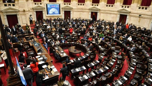 Diputados ya sesiona para tratar los vetos de Garrahan y Universidades