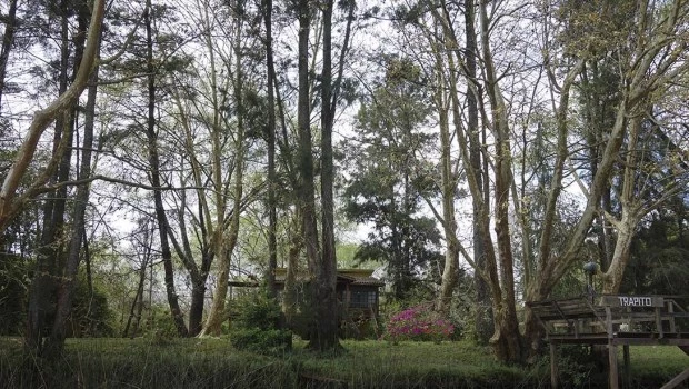 Manuel González López compone una lograda novela de suspenso que comienza en el apacible Delta.