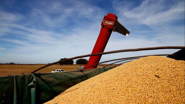 Las exportaciones de la agroindustria totalizan US$32 mil millones en lo que va del año