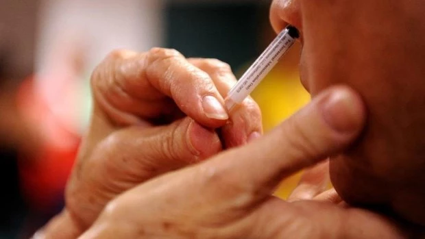 Una vacuna intranasal experimental elimina el virus de la covid-19 en ratones