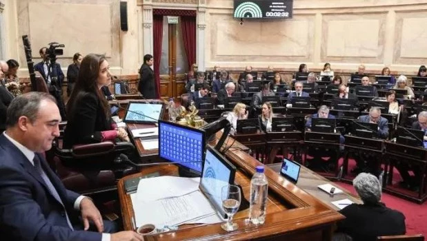 El Senado sesiona para rechazar los vetos de emergencia en pediatría y financiamiento universitario