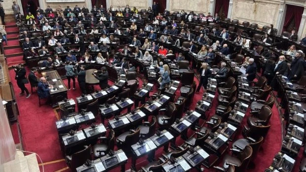 La oposición no pudo convertir en ley el régimen de DNU y el Gobierno gana tiempo