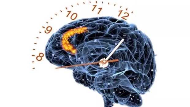 Explican por qué cada minuto cuenta ante un ACV