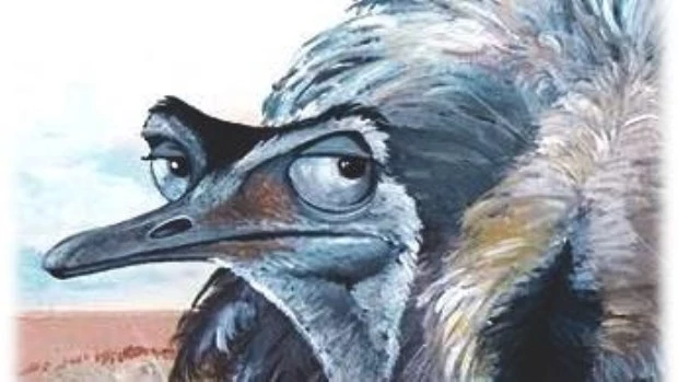 Había una vez… pajaronas y pajarracas