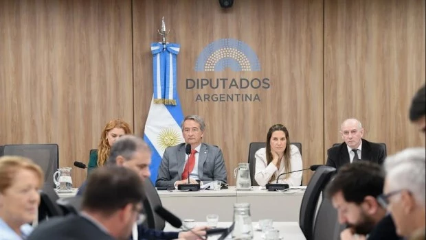 La oposición logró dictaminar el proyecto para “democratizar“ la ANDIS y se votará en la próxima sesión