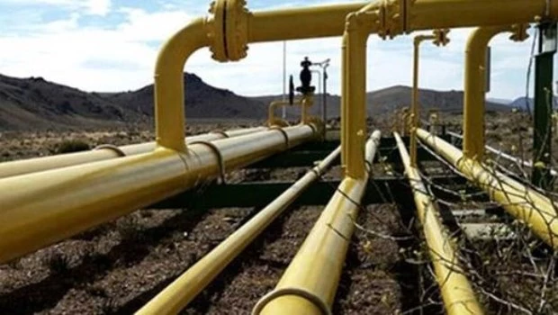 El Gobierno adjudicó a TGS la ampliación del gasoducto Perito Moreno