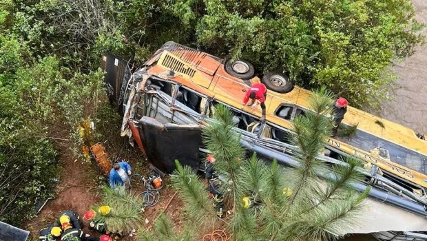 Tragedia en Misiones: al menos 8 muertos al caer un colectivo a un arroyo