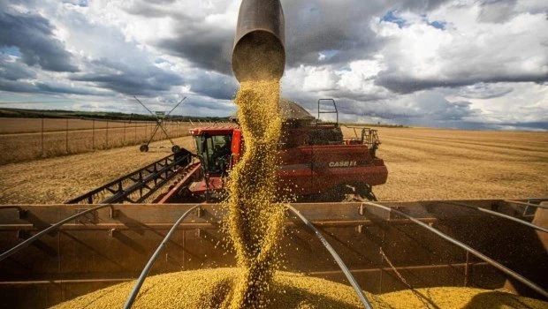 La soja sube a US$ 399, el valor más alto en 15 meses