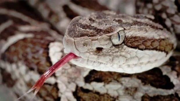 Había una vez…un hombre a la deriva