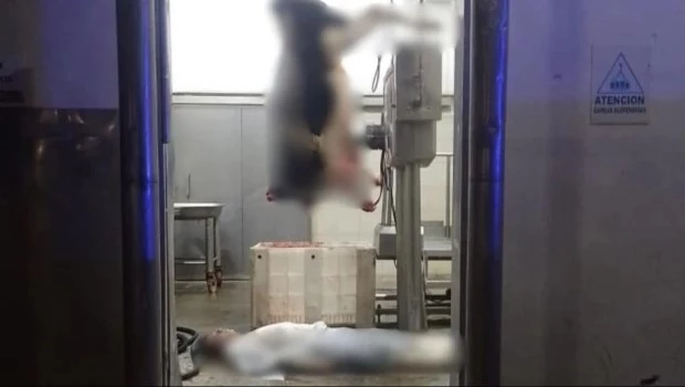 Tragedia en el frigorífico de Gorina: un trabajador murió mientras realizaba tareas de desposte 