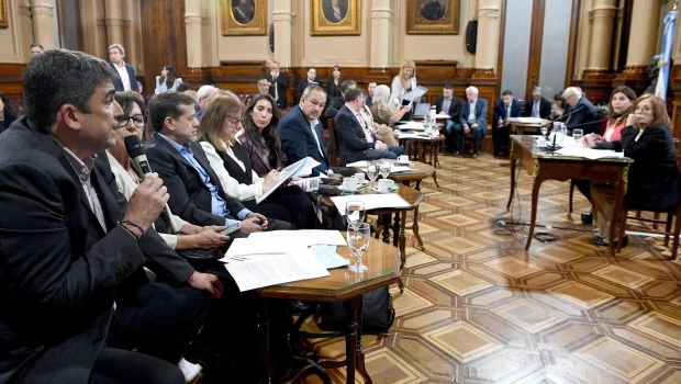 Dictamen a favor del proyecto que vedaría el uso de los DNU a Milei