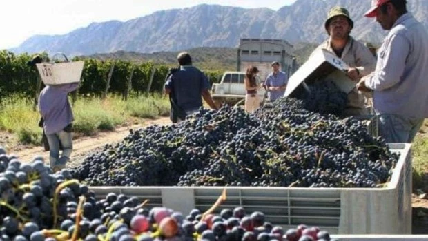 El Gobierno flexibilizó los controles en la industria vitivinícola