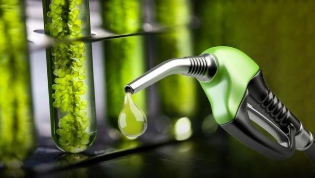 El Gobierno oficializó los nuevos precios de los biocombustibles