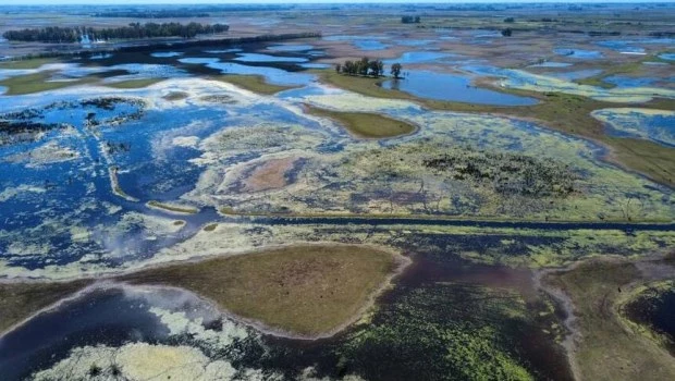 Inundaciones en la provincia de Buenos Aires: casi 6 millones de hectáreas se vieron afectadas y se perderían US$2.000 millones