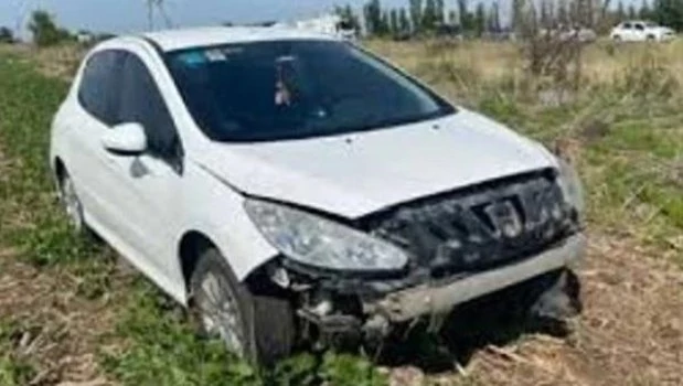 Un carpincho casi provoca una tragedia sobre la Ruta 2
