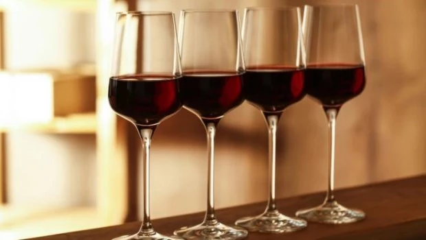 Día Nacional del Vino Argentino