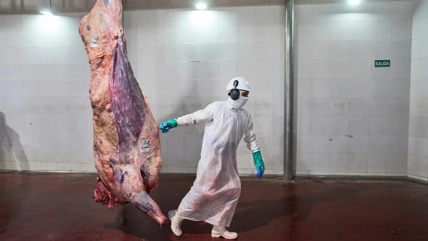 Pese al incremento de los precios en el mostrador, el consumo de carne vacuna en la Argentina subió al 49% anual por persona. Se viene un nuevo aumento para Navidad.