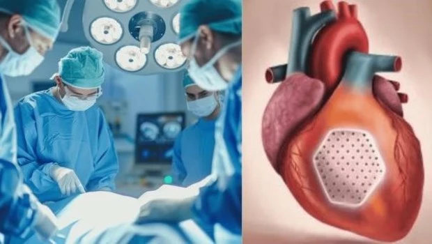 Desarrollan un nuevo parche de células madre para curar corazones dañados