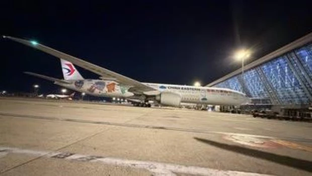 Aseguran que la nueva ruta Shanghai-Buenos Aires favorece al comercio internacional