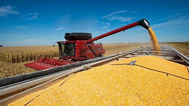 El Gobierno anunció una nueva baja en las retenciones para el campo