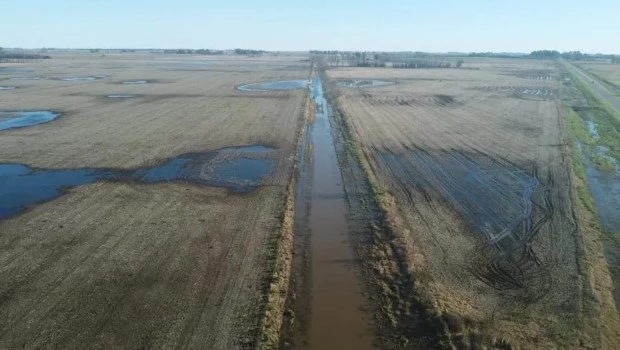 Declaran emergencia agropecuaria por inundaciones en ocho partidos bonaerenses