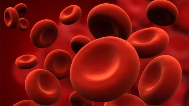 Déficit de Hierro: una condición capaz de producir desde caída de cabello hasta falta de memoria