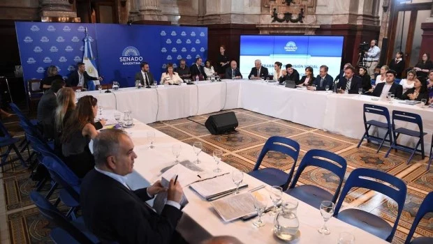 La senadora Bullrich encabezó la reunión de la Comisión de Trabajo y Previsión en el Senado.