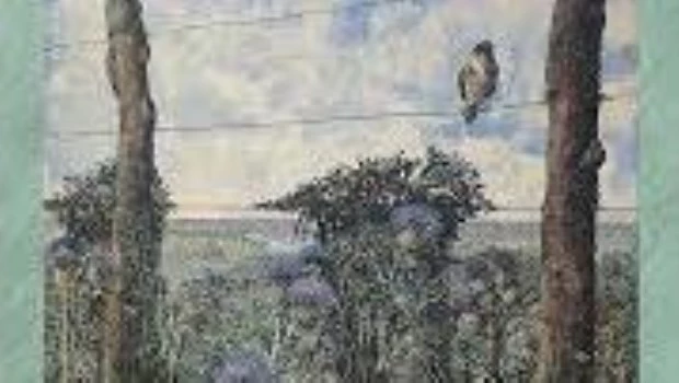 Un campo que reverdece